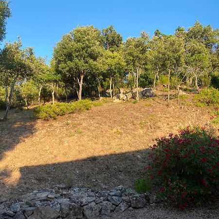 Li Paduleddi Country Guest House Olbia Dış mekan fotoğraf