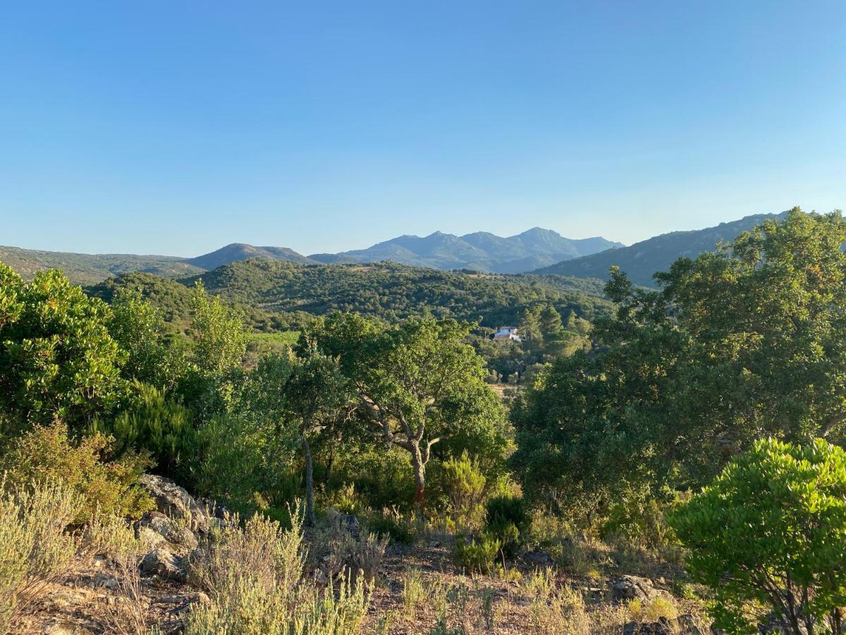 Li Paduleddi Country Guest House Olbia Dış mekan fotoğraf