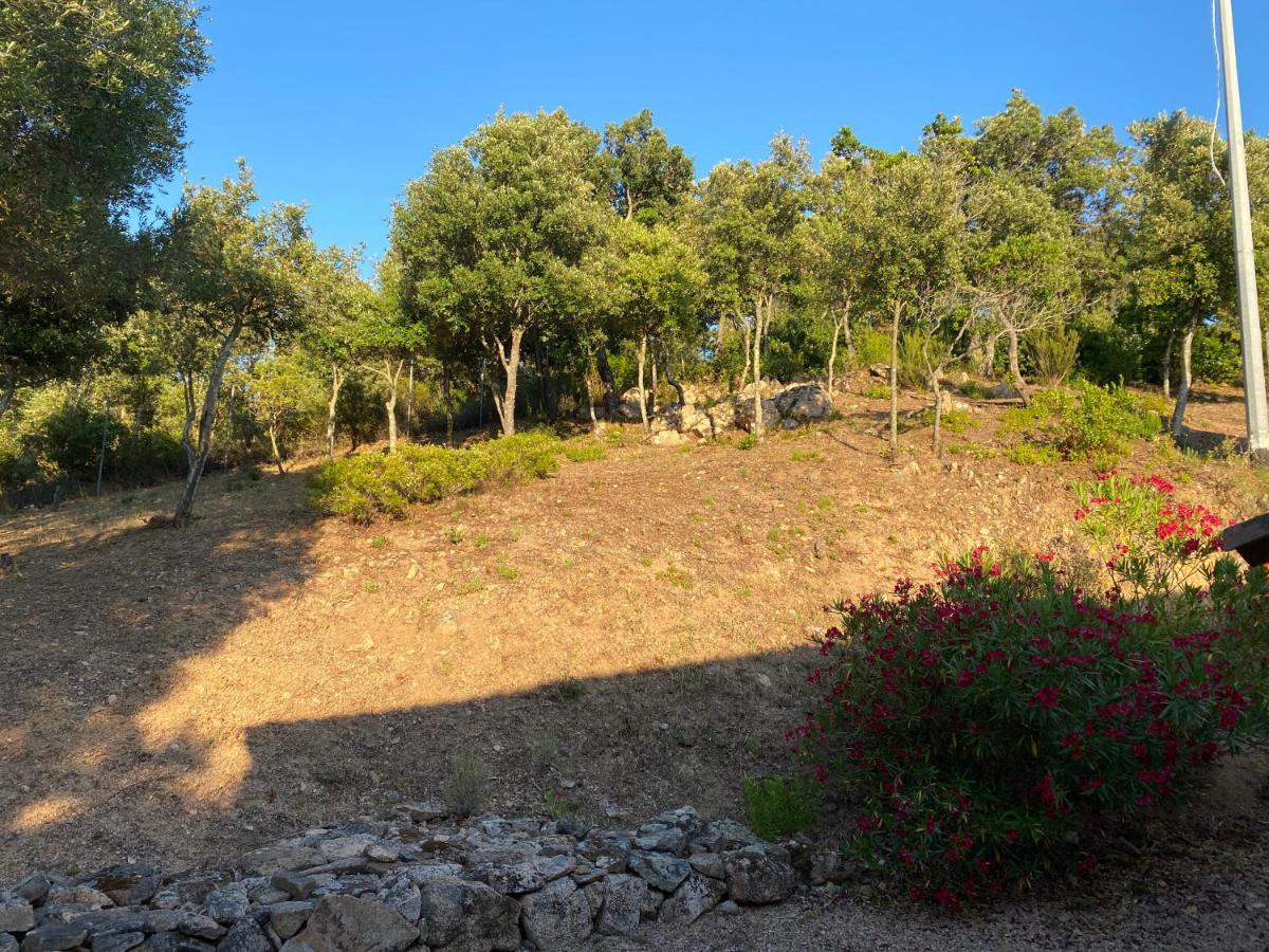 Li Paduleddi Country Guest House Olbia Dış mekan fotoğraf