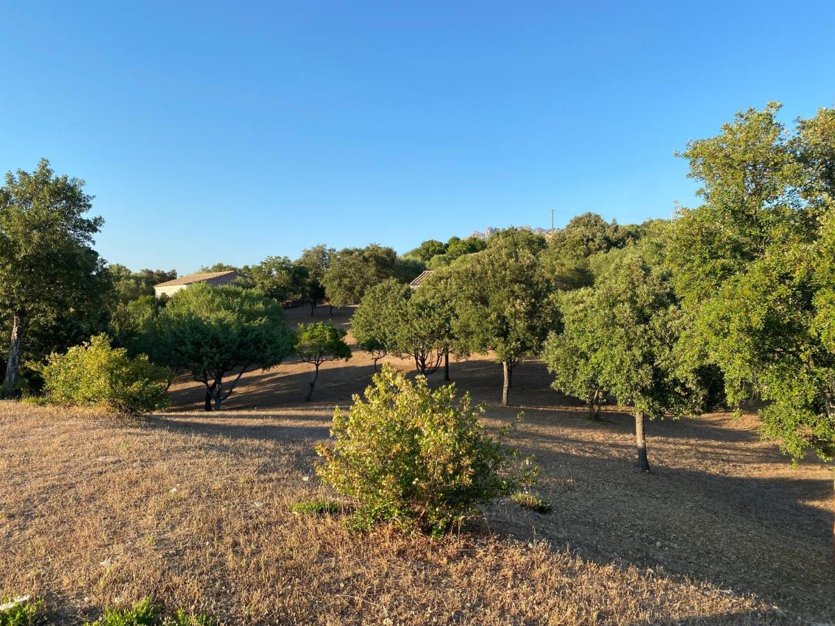 Li Paduleddi Country Guest House Olbia Dış mekan fotoğraf
