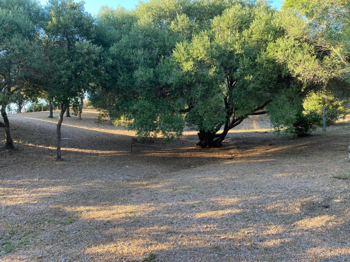 Li Paduleddi Country Guest House Olbia Dış mekan fotoğraf