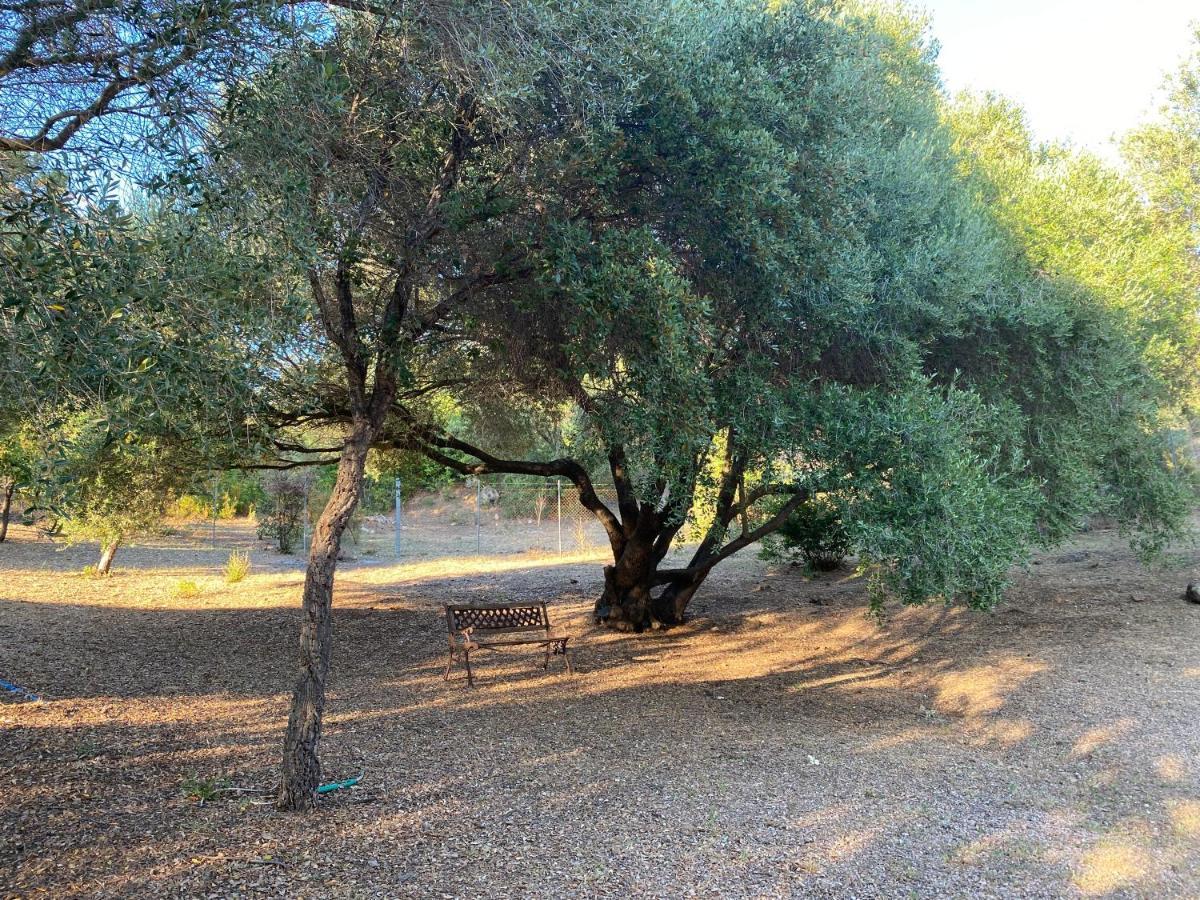 Li Paduleddi Country Guest House Olbia Dış mekan fotoğraf