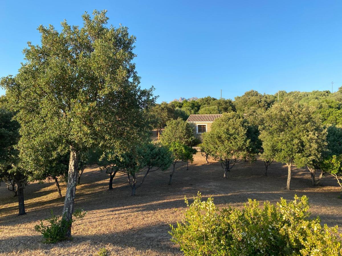 Li Paduleddi Country Guest House Olbia Dış mekan fotoğraf