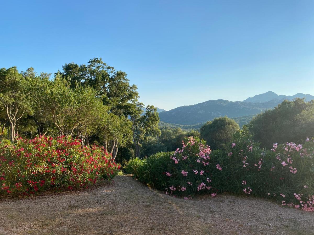 Li Paduleddi Country Guest House Olbia Dış mekan fotoğraf
