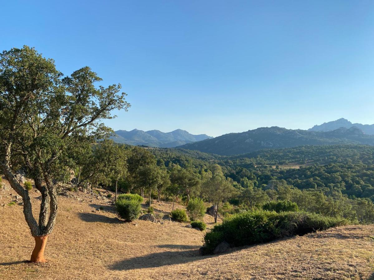 Li Paduleddi Country Guest House Olbia Dış mekan fotoğraf