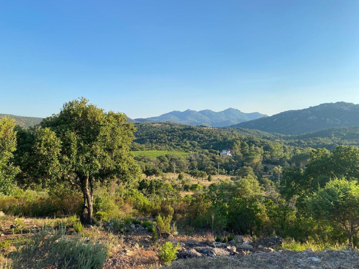 Li Paduleddi Country Guest House Olbia Dış mekan fotoğraf