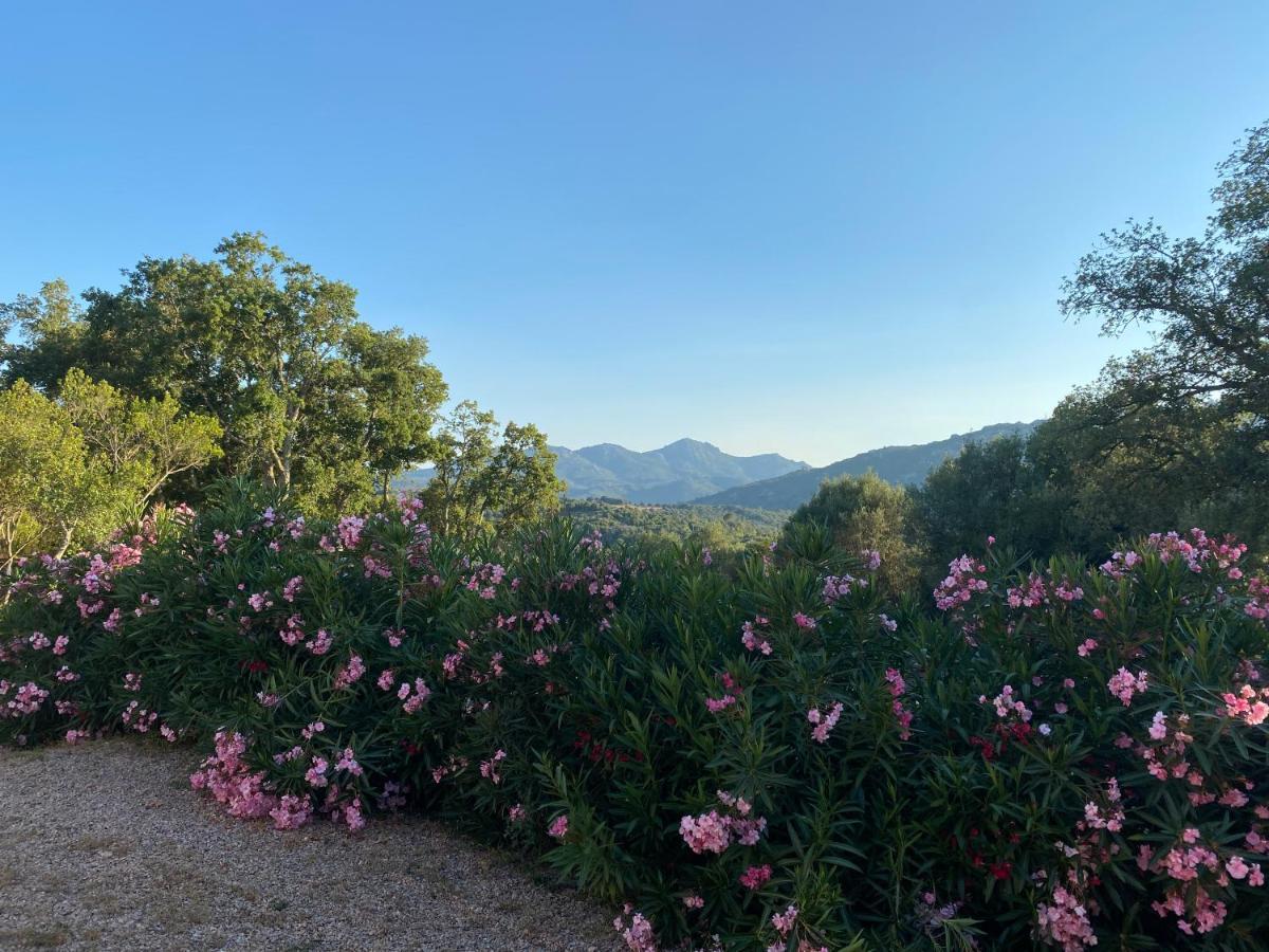 Li Paduleddi Country Guest House Olbia Dış mekan fotoğraf